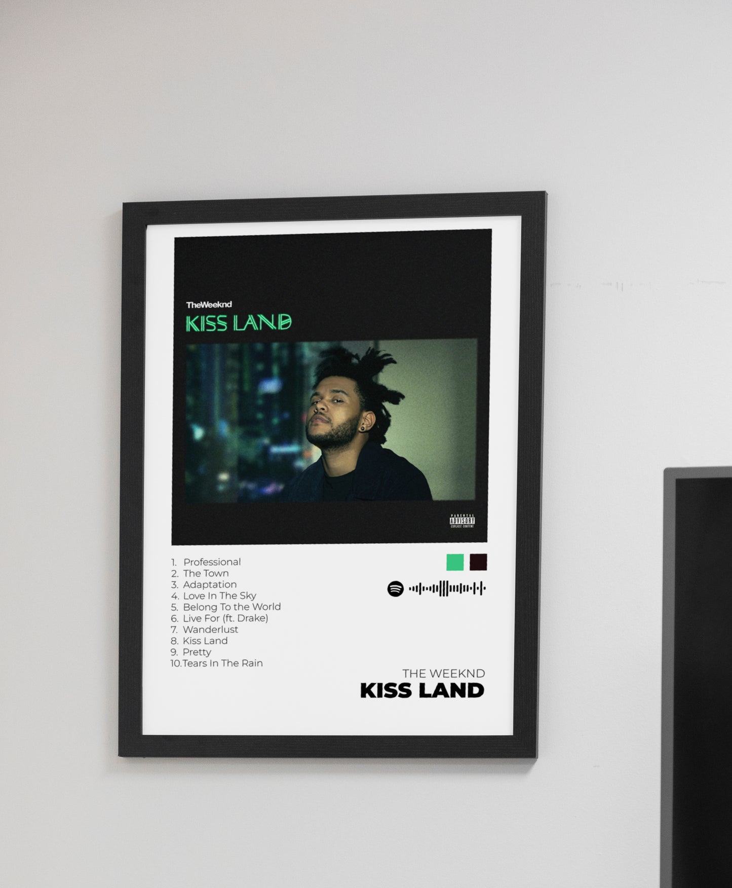 Kiss Land