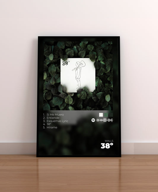 38º