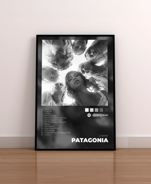 l'haine. patagonia. el odio siempre gana. poster. lamina. cuadro. merchandising. cover. cd. vinilo. comprar.