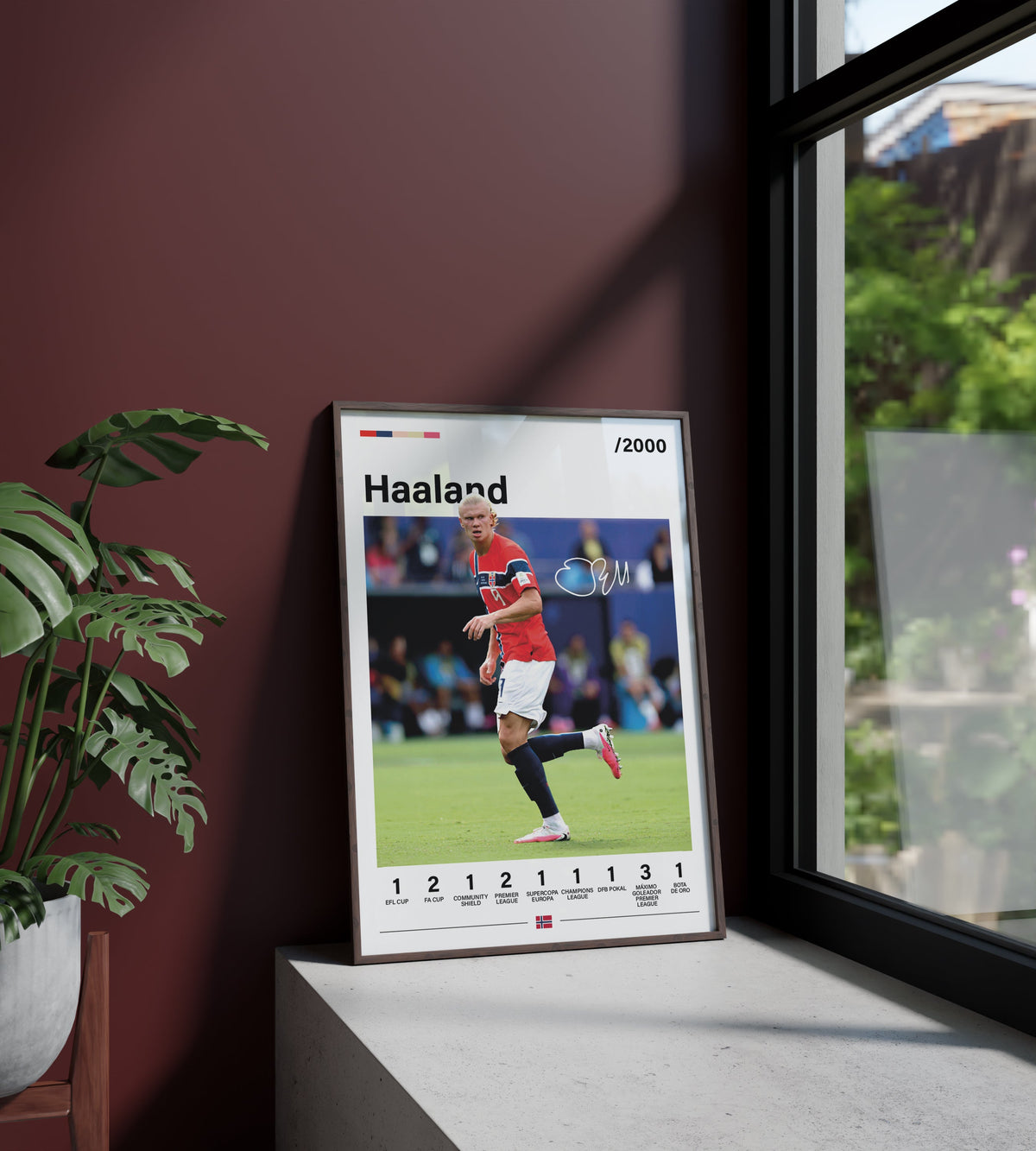 Haaland