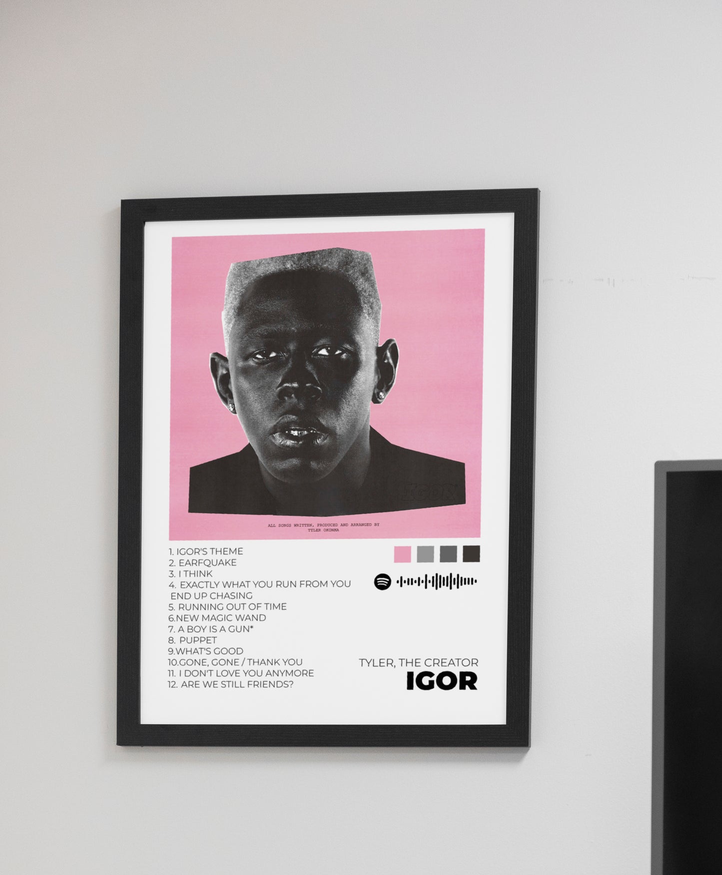 Igor. Album. Cover. Portada. Poster. Tyler, the creator. Rap.